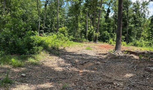 Photo #2 of Patrick Henry Hwy, Meherrin, VA 7.6 acres