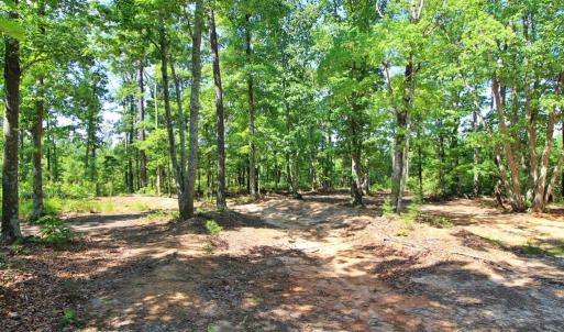 Photo #10 of Community Rd., Dillwyn, VA 3.7 acres