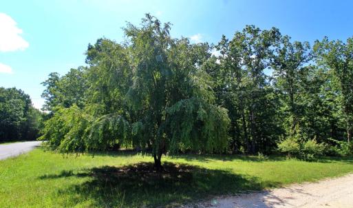 Photo #4 of Community Rd., Dillwyn, VA 3.7 acres