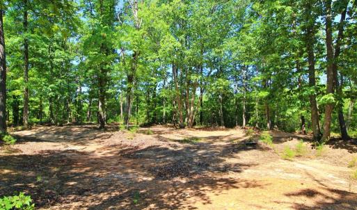 Photo #8 of Community Rd., Dillwyn, VA 3.7 acres