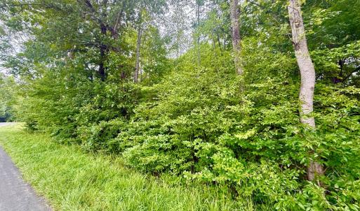 Photo #3 of Forest Chapel Rd, Pamplin, VA 0.7 acres