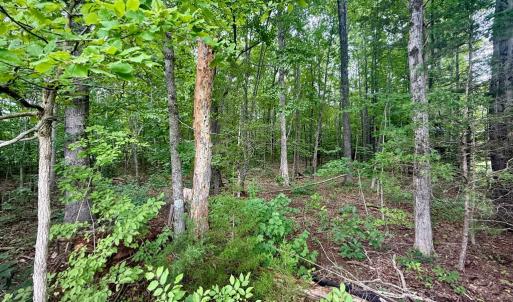 Photo #4 of Forest Chapel Rd, Pamplin, VA 0.7 acres