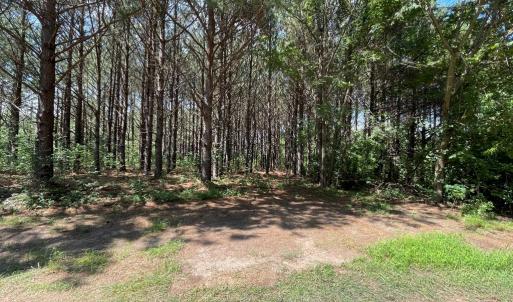Photo #12 of Deer Run Rd, Blackstone, VA 7.0 acres