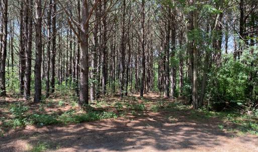 Photo #14 of Deer Run Rd, Blackstone, VA 7.0 acres