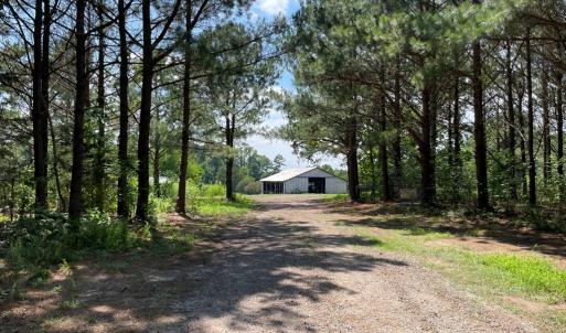Photo #2 of Deer Run Rd, Blackstone, VA 7.0 acres