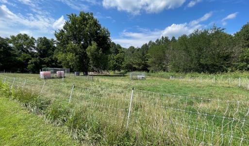 Photo #8 of Deer Run Rd, Blackstone, VA 7.0 acres