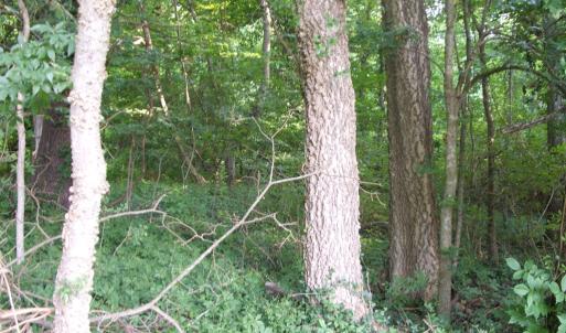 Add'l view of property