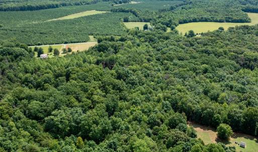 Photo #15 of 639 Elam Road, Pamplin, VA 4.0 acres