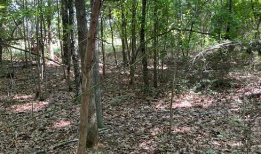 Photo #5 of 639 Elam Road, Pamplin, VA 4.0 acres