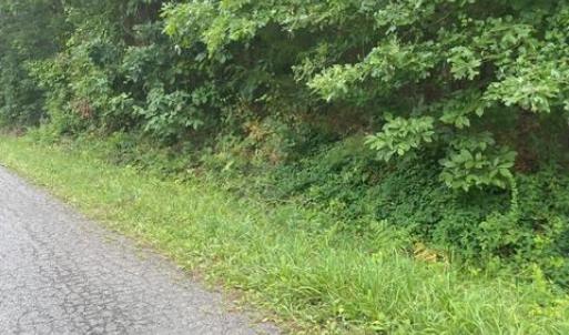 Photo #6 of 639 Elam Road, Pamplin, VA 4.0 acres