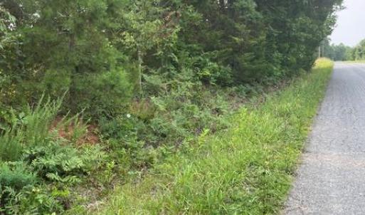 Photo #7 of 639 Elam Road, Pamplin, VA 4.0 acres
