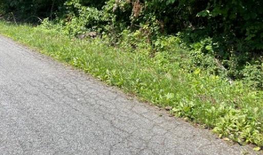 Photo #8 of 639 Elam Road, Pamplin, VA 4.0 acres