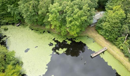 Photo #11 of 516, 480 & 724 Perkins Mill Road, Dillwyn, VA 64.9 acres