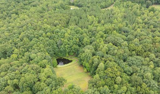Photo #6 of 516, 480 & 724 Perkins Mill Road, Dillwyn, VA 64.9 acres