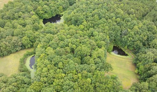 Photo #7 of 516, 480 & 724 Perkins Mill Road, Dillwyn, VA 64.9 acres