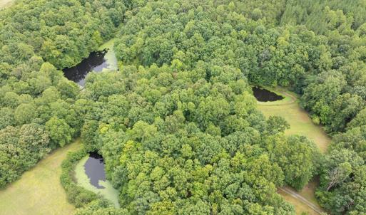 Photo #8 of 516, 480 & 724 Perkins Mill Road, Dillwyn, VA 64.9 acres