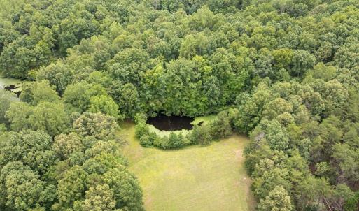 Photo #9 of 516, 480 & 724 Perkins Mill Road, Dillwyn, VA 64.9 acres