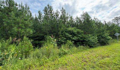 Photo #6 of Stage/Spencer Road, Concord, VA 1.5 acres