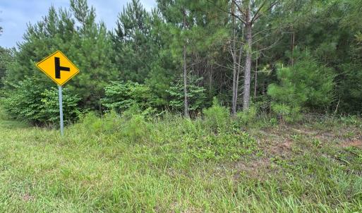 Photo #7 of Stage/Spencer Road, Concord, VA 1.5 acres