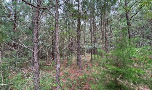 Photo #8 of Stage/Spencer Road, Concord, VA 1.5 acres