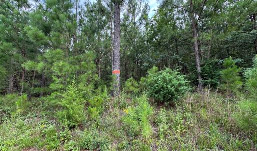 Photo #9 of Stage/Spencer Road, Concord, VA 1.5 acres