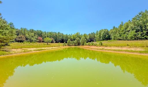 Photo #4 of Flat Rock Road, Blackstone, VA 10.0 acres