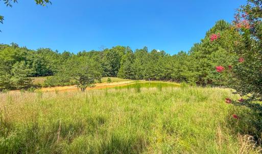 Photo #7 of Flat Rock Road, Blackstone, VA 10.0 acres