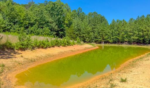 Photo #8 of Flat Rock Road, Blackstone, VA 10.0 acres