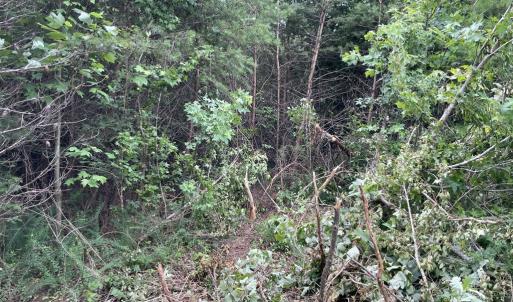 Photo #12 of Horsepen Road, Farmville, VA 7.8 acres