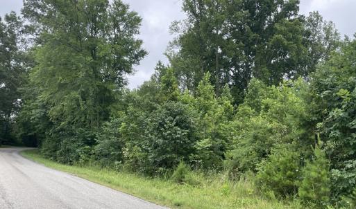 Photo #14 of Horsepen Road, Farmville, VA 7.8 acres
