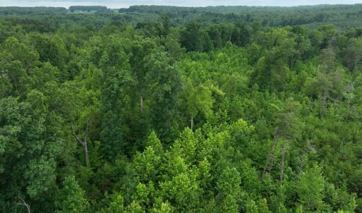 Photo #3 of Horsepen Road, Farmville, VA 7.8 acres