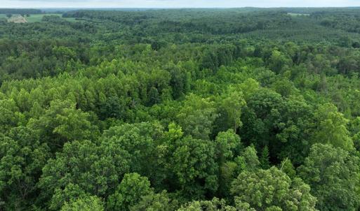 Photo #4 of Horsepen Road, Farmville, VA 7.8 acres