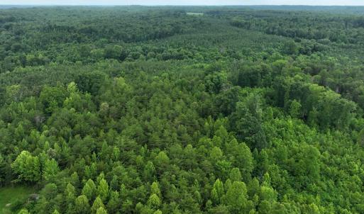 Photo #5 of Horsepen Road, Farmville, VA 7.8 acres