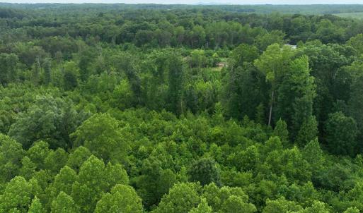 Photo #6 of Horsepen Road, Farmville, VA 7.8 acres