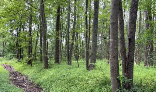 Photo #9 of Horsepen Road, Farmville, VA 7.8 acres