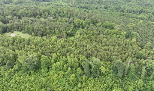 Photo #2 of 7.8 AC Horsepen Road, Farmville, VA 7.8 acres