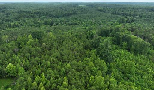 Photo #6 of 7.8 AC Horsepen Road, Farmville, VA 7.8 acres