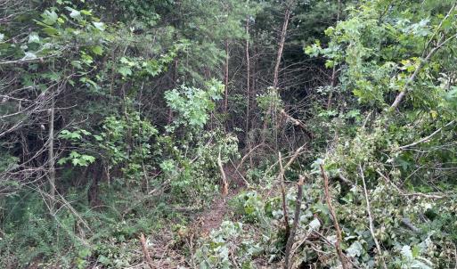 Photo #12 of 7.8 AC Horsepen Road, Farmville, VA 7.8 acres