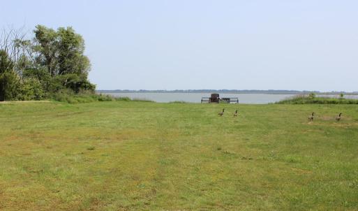 Photo #11 of Lot 20 SANDPIPER LANE, ATLANTIC, VA 153.0 acres