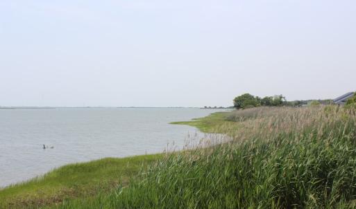 Photo #13 of Lot 20 SANDPIPER LANE, ATLANTIC, VA 153.0 acres