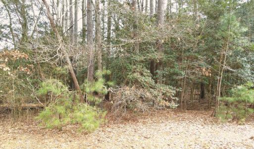 Photo #2 of Lot 20 SANDPIPER LANE, ATLANTIC, VA 153.0 acres