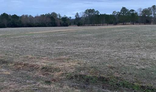 Photo #4 of LOT 7 GREEN LANDING ROAD, ONANCOCK, VA 3.3 acres