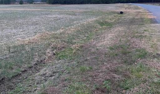 Photo #5 of LOT 7 GREEN LANDING ROAD, ONANCOCK, VA 3.3 acres