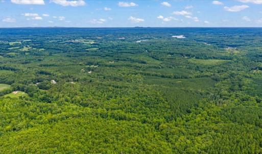 Photo #4 of Indian Springs Rd, Green Bay, VA 27.0 acres