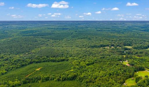 Photo #8 of Indian Springs Rd, Green Bay, VA 27.0 acres