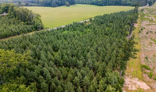 Photo #3 of Germantown Rd, Keysville, VA 4.5 acres