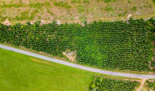 Photo #4 of Germantown Rd, Keysville, VA 4.5 acres