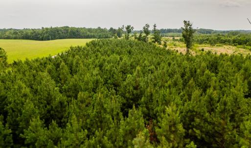 Photo #6 of Germantown Rd, Keysville, VA 4.5 acres