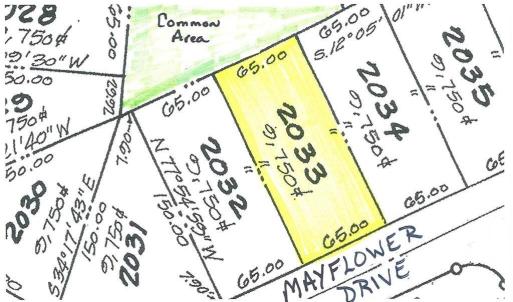 Photo #2 of 2033 MAYFLOWER DR, GREENBACKVILLE, VA 65.0 acres