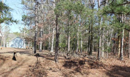 Photo #2 of 85 BARRACUDA CT, GREENBACKVILLE, VA 65.0 acres